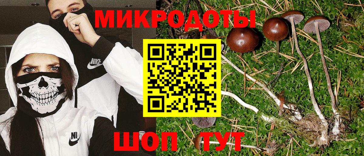 Топки  Галлюциногенные грибы Magic Shrooms  Вход с VPN 