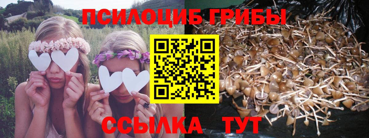 Псилоцибиновые грибы Magic Shrooms Топки